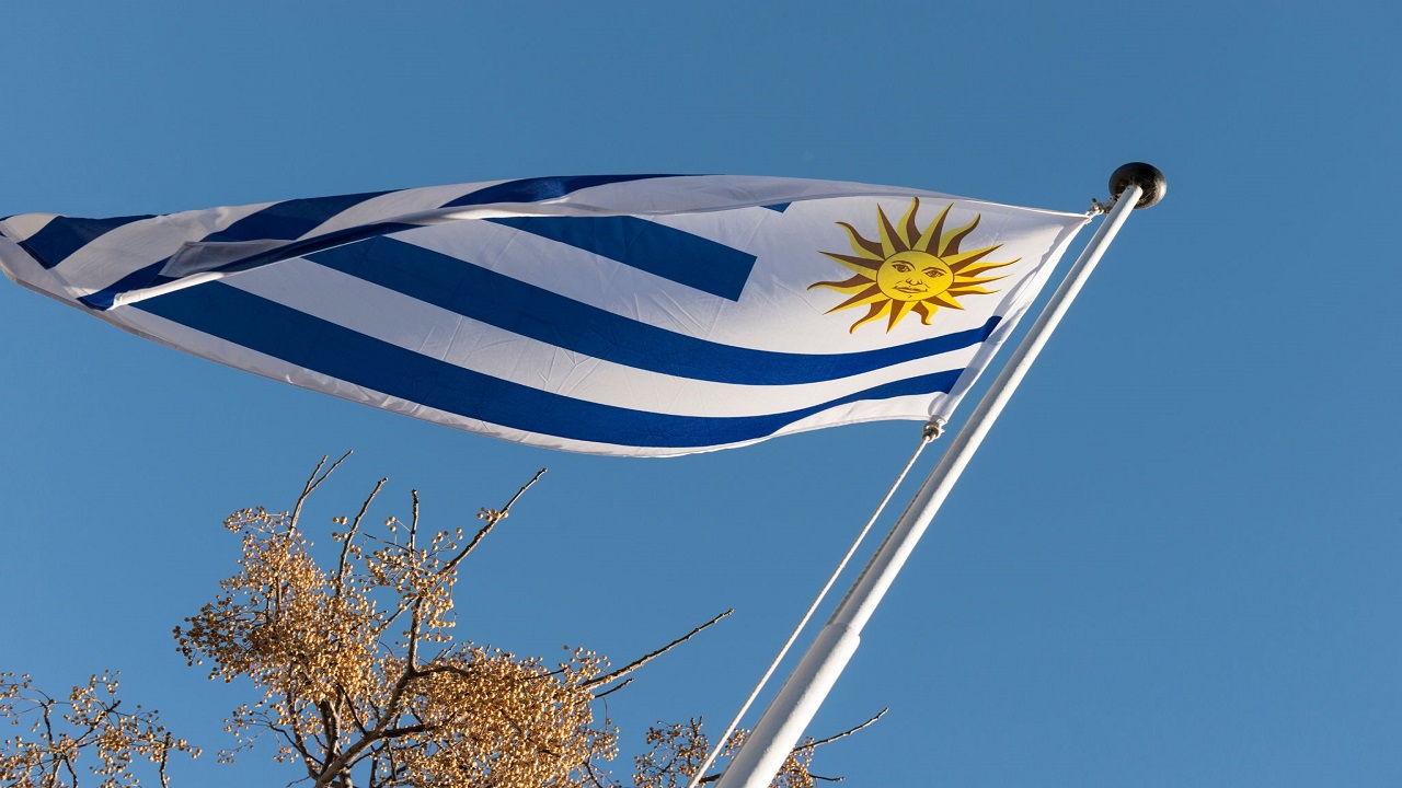 Cómo obtener la ciudadanía uruguaya: requisitos, documentos y proceso completo 1 7 Pasos Esenciales para Obtener la Ciudadanía Uruguaya
